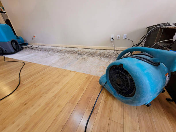 Reliable Basement Flood Cleanup contractor in Woodstock, OH by Hirex Water Damage