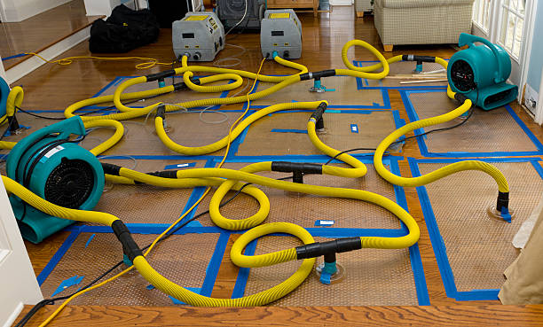 Professional Basement Flood Cleanup technician working in Woodstock, OH